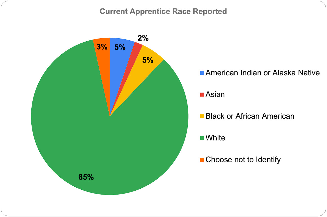 pie chart depicting race reported by active apprentices
